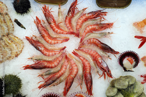 Photos gambas rojas sobre el hielo escarchado de la pescadería