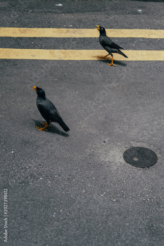 Singapore Scenes