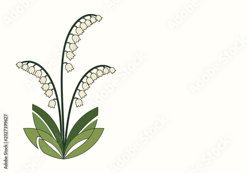 Bild auf Leinwand Illustration of lily of the valley flowers with green leaves, botanical drawing
