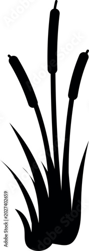 Foto Black silhouette of cattail reeds (Typha latifolia), vector illustration isolate