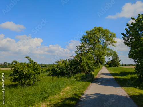 Der Frühling am Kronsberg in Hannover bietet eine idyllische Naturlandschaft, die sich  perfekt für Spaziergänge oder Radtouren eignet