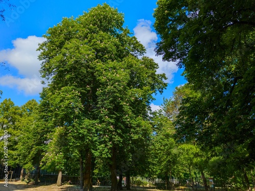 Der Frühling am Kronsberg in Hannover bietet eine idyllische Naturlandschaft, die sich  perfekt für Spaziergänge oder Radtouren eignet