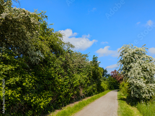 Der Frühling am Kronsberg in Hannover bietet eine idyllische Naturlandschaft, die sich  perfekt für Spaziergänge oder Radtouren eignet
