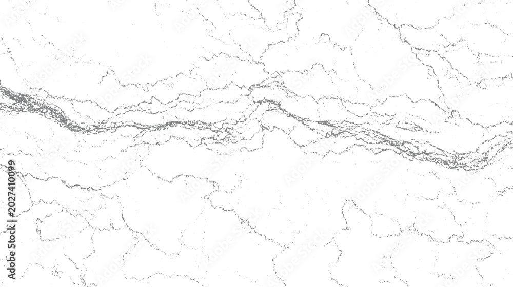 Fototapeta premium Abstract grey organic lines and dots on white background resembling natural patterns