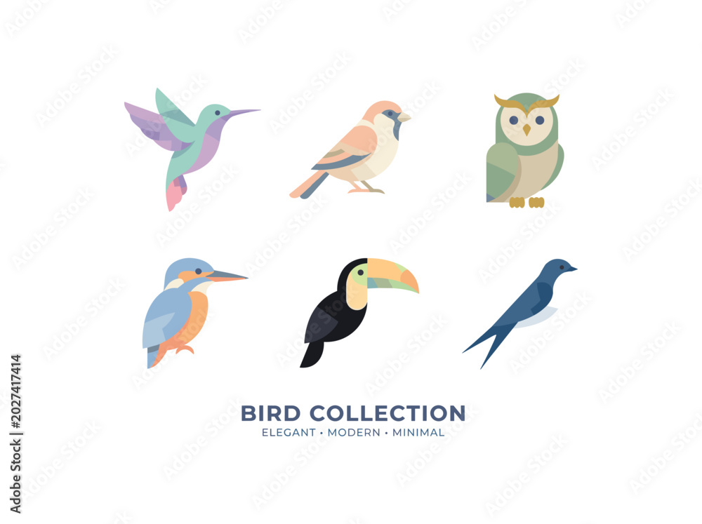Fototapeta premium Colorful minimal bird collection illustration
