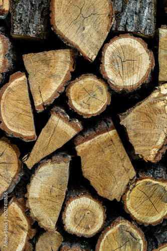 Dry chopped oak firewood. Background