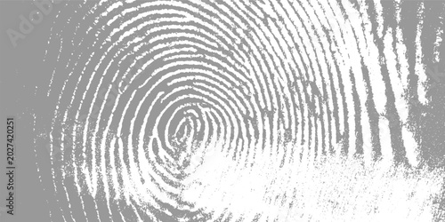 Konstfotografi Close up of a grey fingerprint with white ridges and a textured background thumb