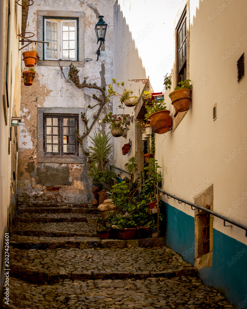 Fototapeta premium Walking around picturesque Obidos, Portugal