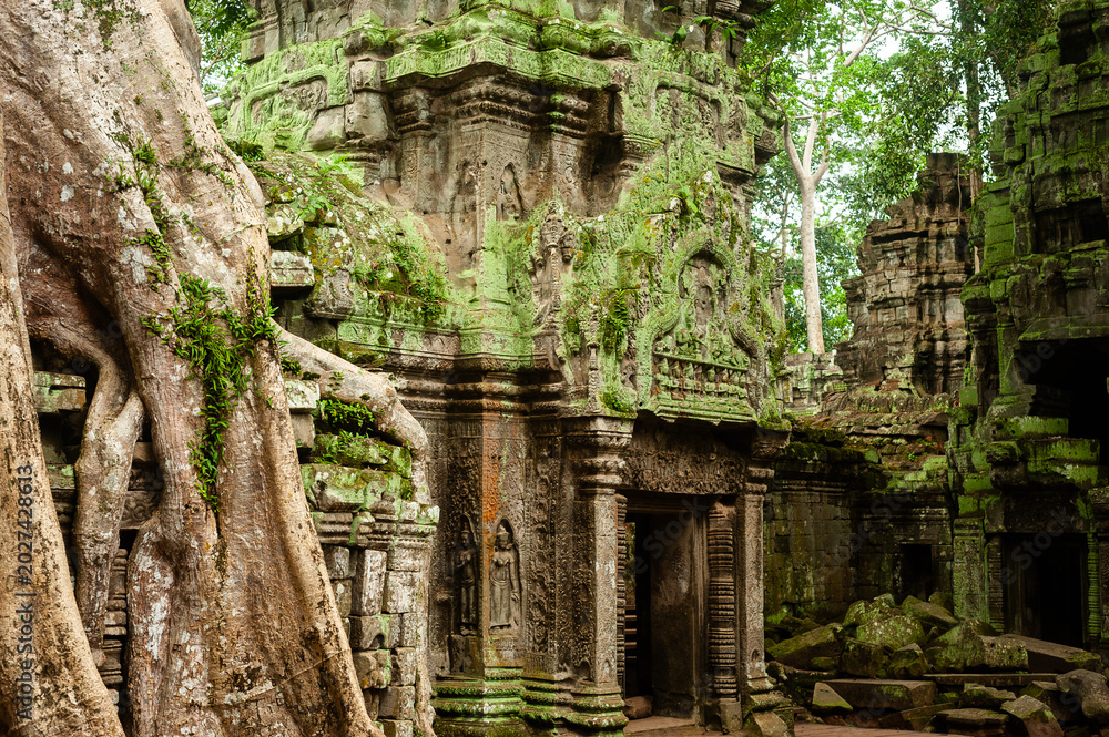 Naklejka premium Angkor Wat - Ta Prohm
