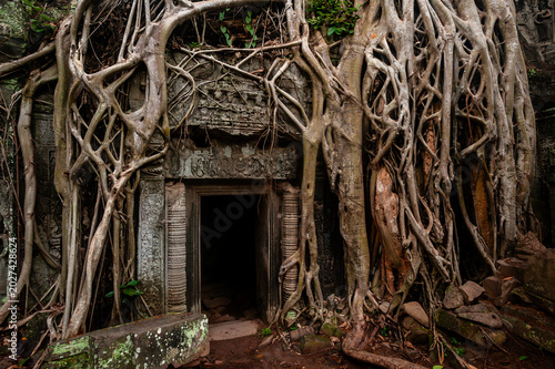 Angkor Wat - Ta Prohm