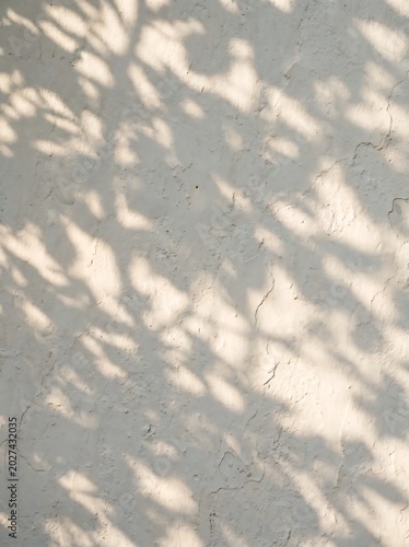Natural tree leaf shadows on a light textured concrete wall surface.