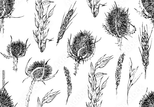 Εκτύπωση καμβά Patrón vectorizado de flores de línea negras sobre fondo blanco, cardos y espiga