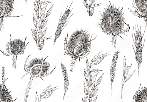 Patrón hecho a mano de flores de línea negras sobre fondo blanco, cardos y espigas, flores secas, ilustración de línea en blanco y negro realizada con boligrafo