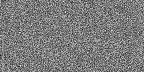 Fotografie Monochrome Turing reaction