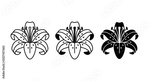 Tableau sur toile Elegant Lily Flower Icons, Vector Set: Outline, Filled, Silhouette Styles for Fl