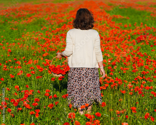 Foto donna in campo di papaveri in italia a maggio