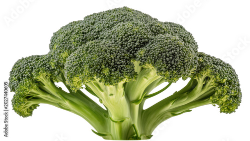 Tableau sur toile Fresh green broccoli florets with thick stems, isolated on transparent backgroun
