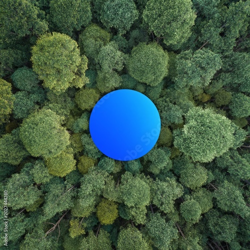 Large Blue Circle Placed on Top of Green Trees in Forest Area During Daytime