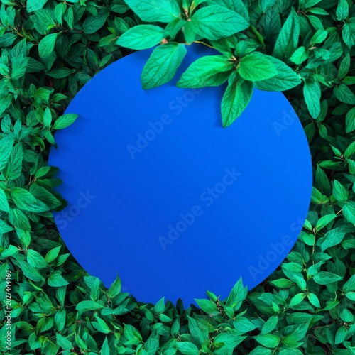 Bright Blue Circle Surrounded by Green Leaves in Urban Garden During Daytime