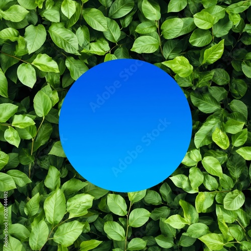 Bright Blue Circle Surrounded by Green Leaves in Urban Garden During Daytime