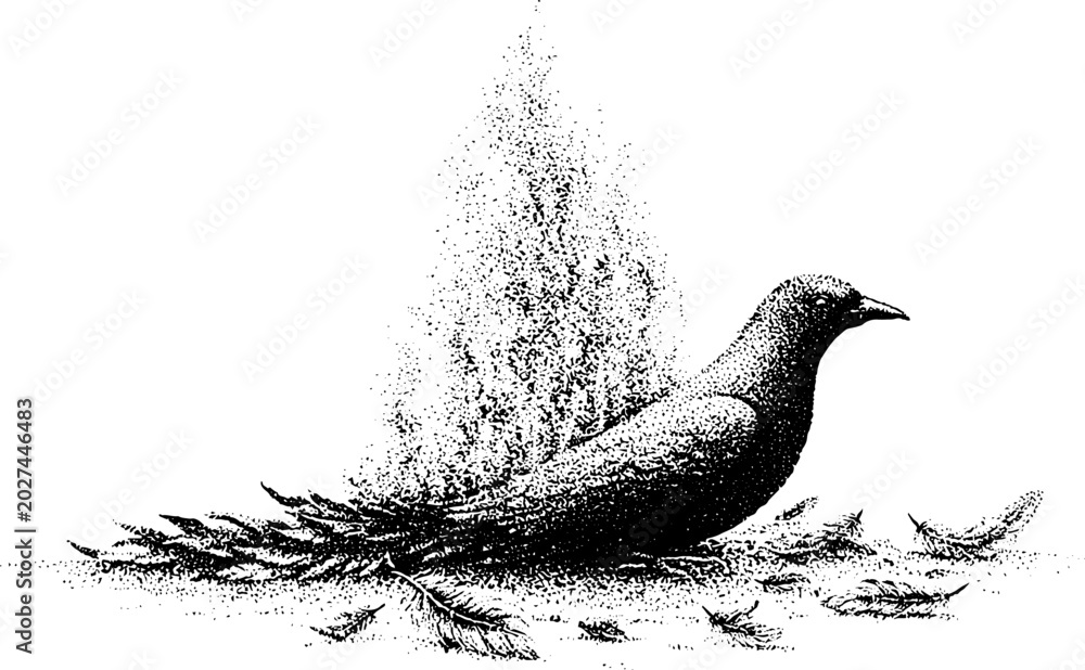 Fototapeta premium Crow resting among scattered feathers with textured backdrop