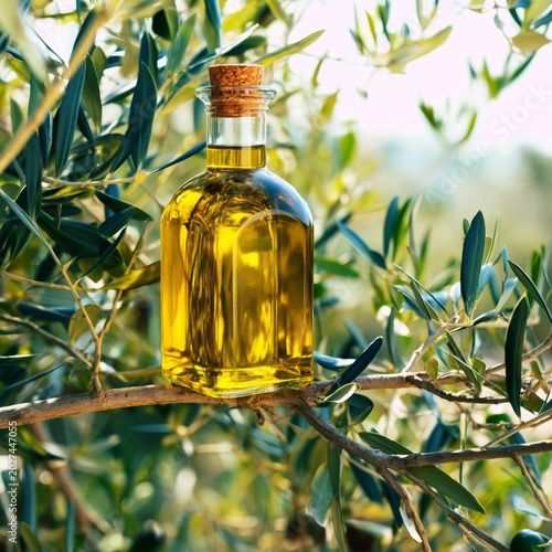 Bottle of Olive Oil Resting on a Branch of an Olive Tree in Sunny Scenery