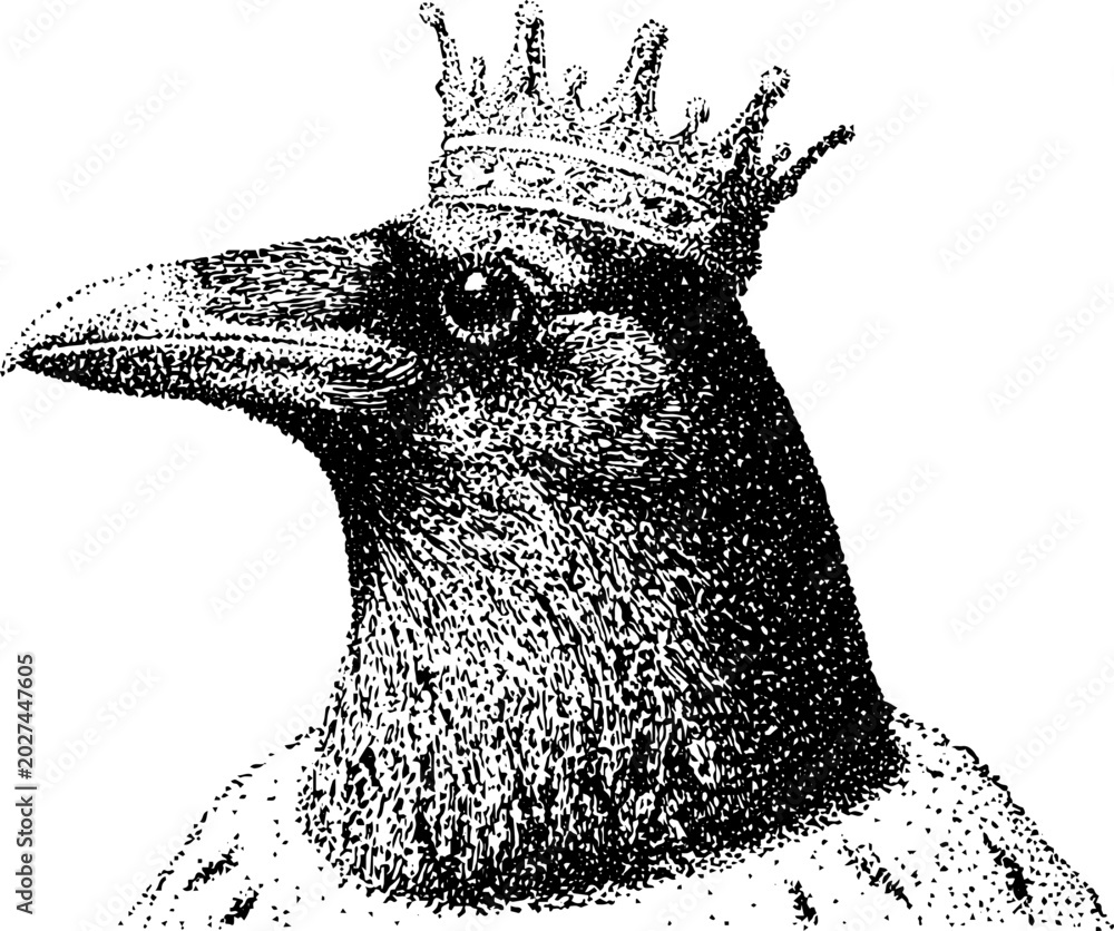 Fototapeta premium Raven wearing crown closeup detailed stipple portrait on white