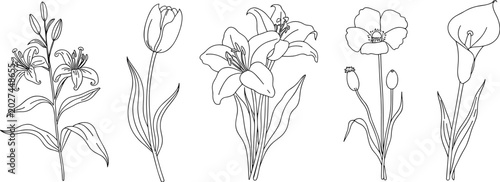 Konstfotografi Outline Illustrations of Five Different Types of Flowers on a White Background f