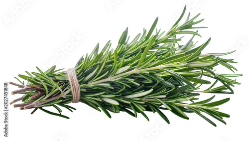 Tableau sur toile Fresh green rosemary herb tied with twine, isolated on transparent background