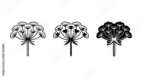 Cuadro en lienzo Umbrella Flower Icons, Wild Parsnip Vector Set, Botanical Outline Graphics