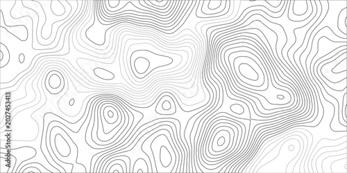 Konstfotografi Abstract Gray Topographic Contour Lines Pattern with Intricate Elevation Curves, Valleys and Mountain Peaks for Minimal Geographic Cartography Background Design