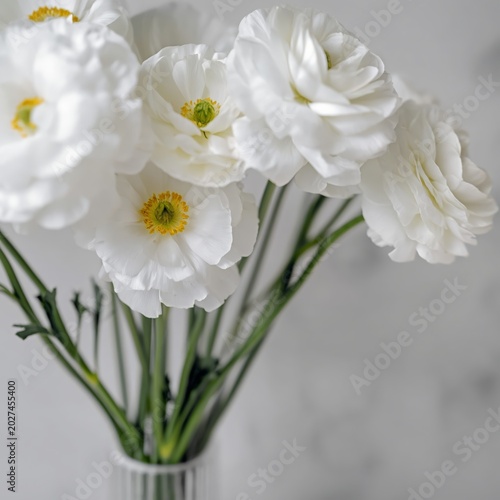 Bouquet of White Flowers in a Glass Vase on a Simple Background