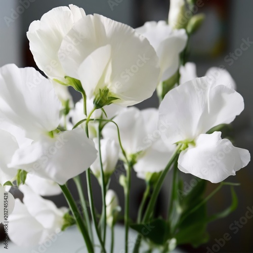 White Flowers Arranged in a Vase on a Table in a Bright Room During the Day