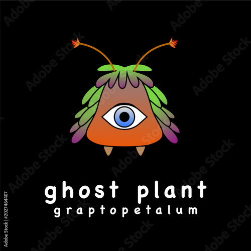 Succulent plant logo design template
