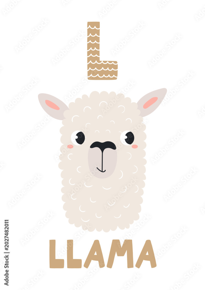 Obraz premium Cute llama face, letter L, text, illustration isolated. ABC card, cartoon animal character. Kids English alphabet, preschool, school learning. Hand drawn flat vector clip art, design element