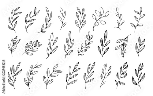 Foto Hand Drawn Olive Branch Set with Leaves in Botanical Illustration Style for Deco