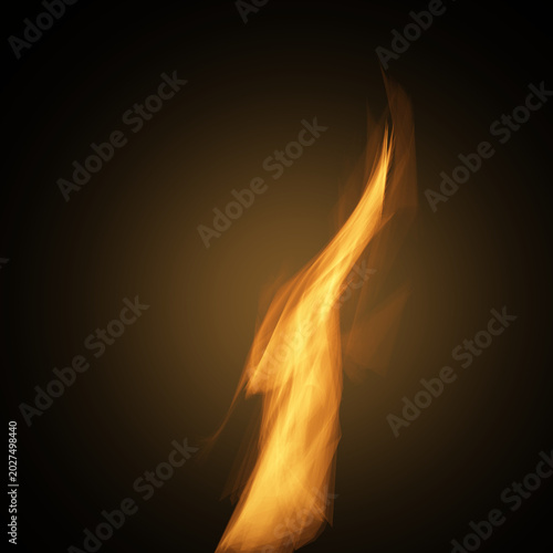 Flame of fire on a black background
