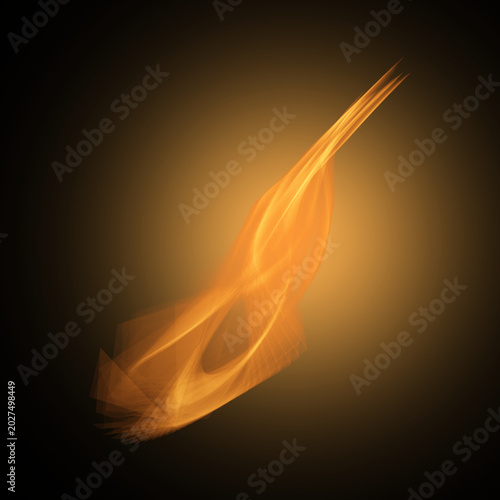 Flame of fire on a black background

