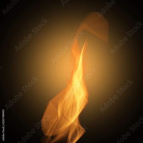 Flame of fire on a black background
