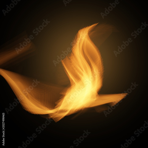 Flame of fire on a black background

