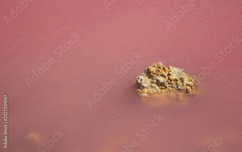 Photography Colorful closeup detail of submerged rock in rosy water of Pink Lake, Hutt Lagoon, on Western Australia's Coral Coast; color created by created by carotenoid-producing algae, Dunaliella salina