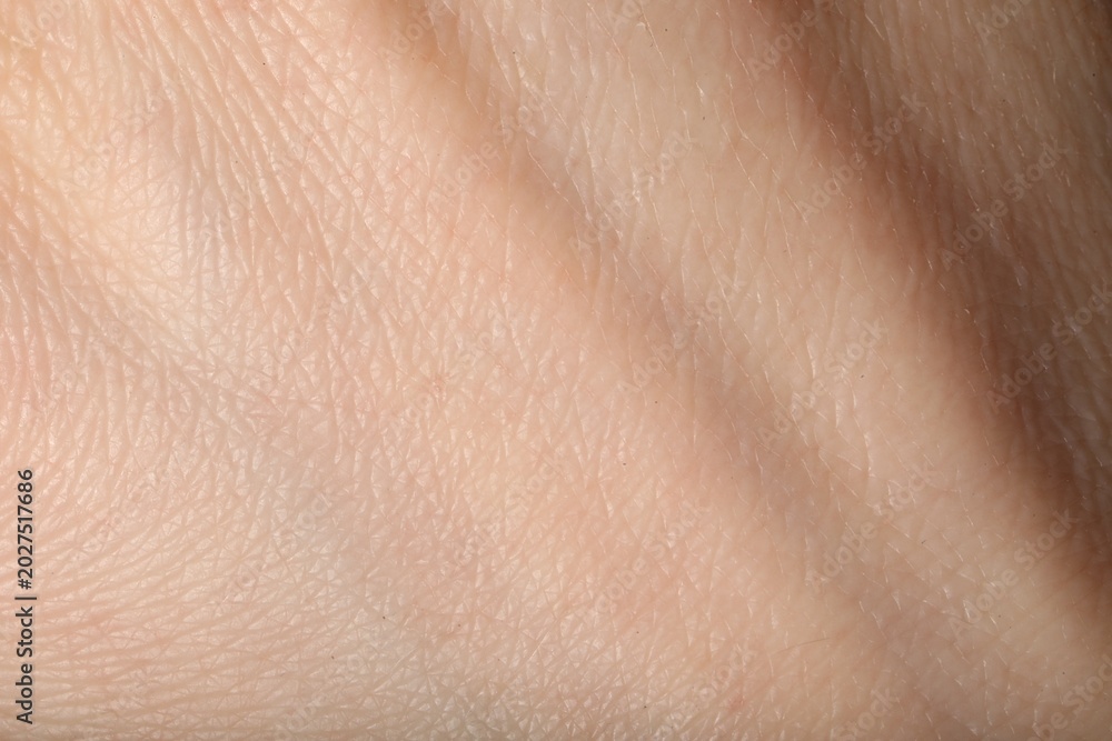Fototapeta premium Texture of normal skin as background, closeup