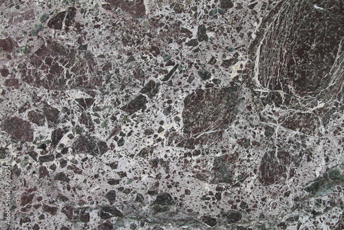 Konstfotografi Close-up of polished breccia marble with dark green, burgundy, and white calcite veins