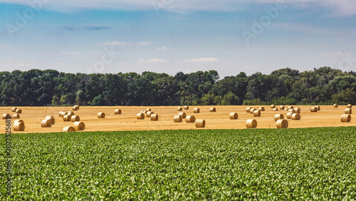 Tableau sur toile Closeup of a Yellow Round Straw Bale background