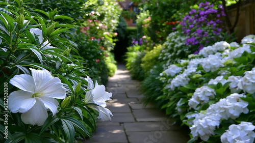 Exploring Small Gardens Filled With Colorful Flowers and Plants During Summer