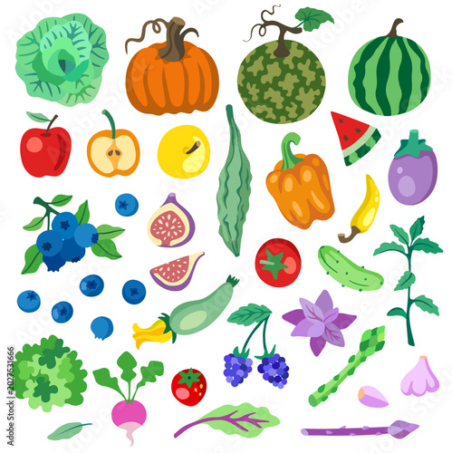 Fruit and vegetables illustration set. Apple, radish, pumpkin, tomato, cucumber, cabbage, squash, bell pepper, garlic, chili, lettuce, courgette, berry, fig, watermelon, blueberry, eggplant, herbs