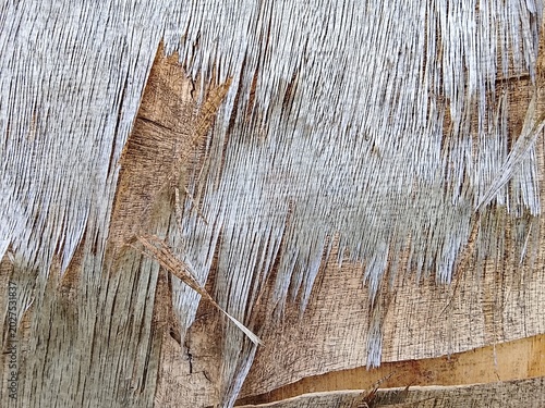 Weathered Peeling Tree Bark Texture Background`  
`Abstract Wooden Surface with Old Peeling Paint and Cracks
