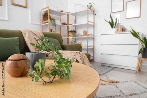 Aroma diffuser with plant o...