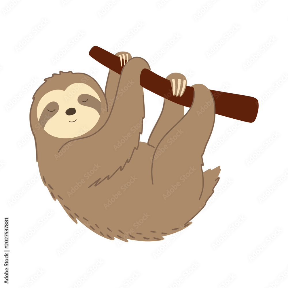Fototapeta premium Cute smiling sloth hanging on a branch