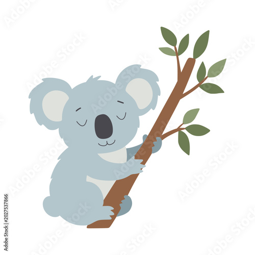 Canvas Print Cute koala sleeping on eucalyptus tree branch